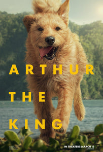 Poster Pelicula Arthur the King (2024)