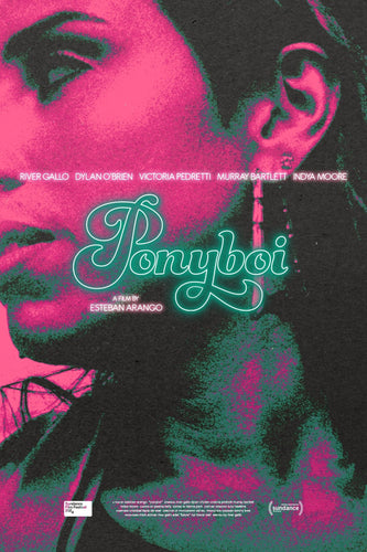 Poster Pelicula Ponyboi (2025)