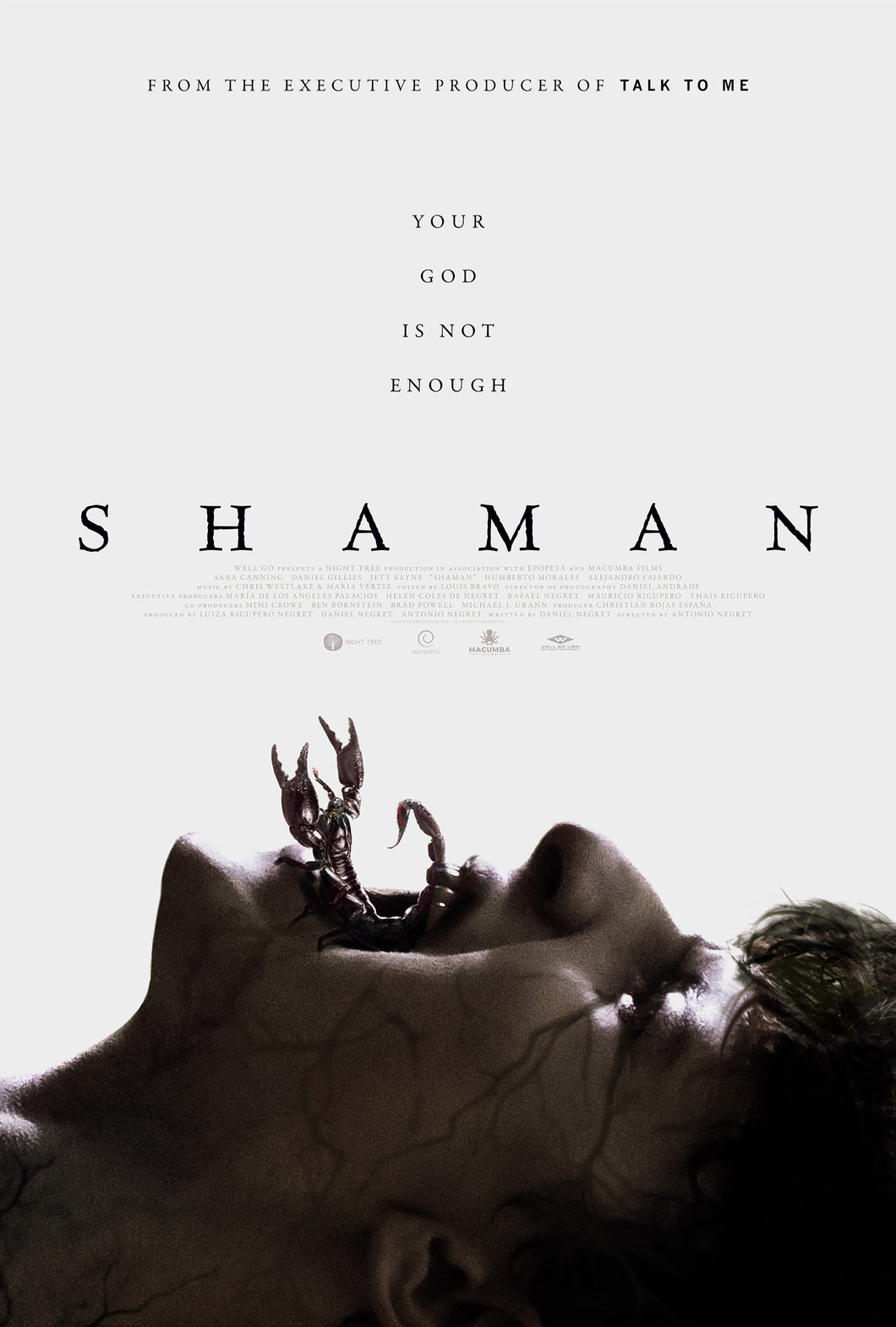 Poster Pelicula Shaman (2025)