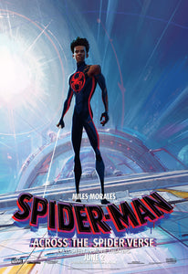 Poster Película  Spider-Man: Across the Spider-Verse 2023