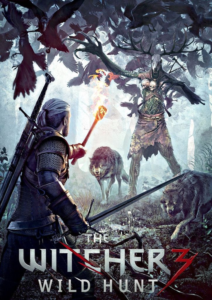 Poster Juego The Witcher 3 5