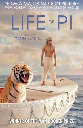 Poster Pelicula Life of Pi