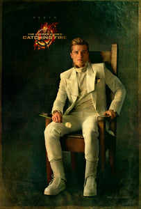 Poster Película The Hunger Games: Catching Fire