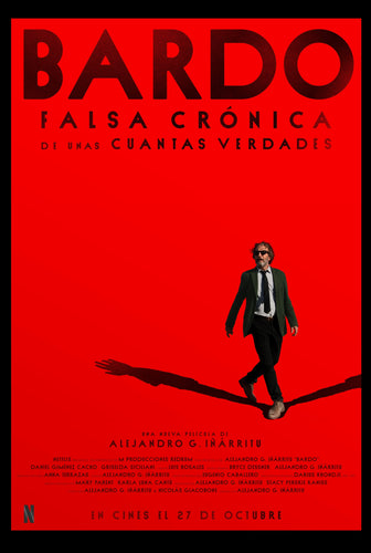 Poster Pelicula Bardo