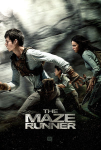 Poster Película The Maze Runner