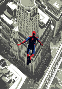 Poster Pelicula The Amazing Spider-Man 2