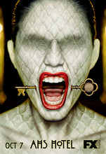 Cargar imagen en el visor de la galería, Poster Serie American Horror Story