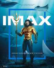 Cargar imagen en el visor de la galería, Poster Pelicula Aquaman