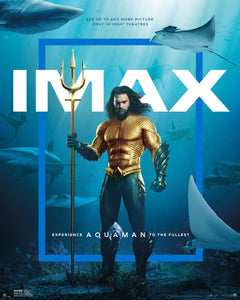 Poster Pelicula Aquaman