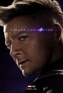 Poster Pelicula Avengers: Endgame 25