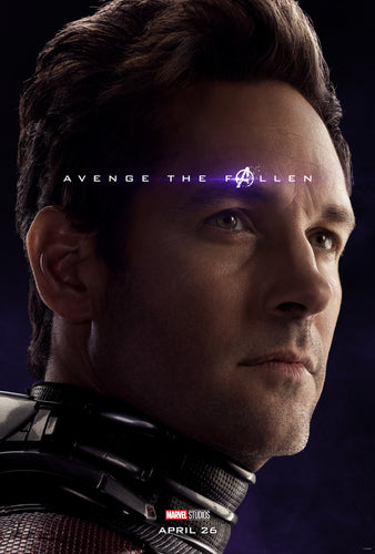 Poster Pelicula Avengers: Endgame 8