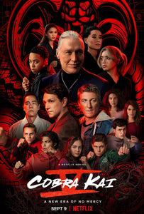Poster Serie Cobra Kai (tv)