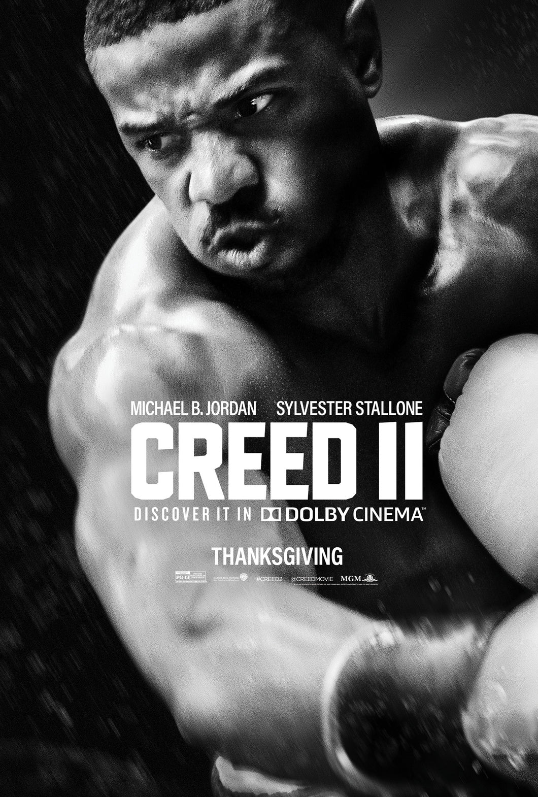 Poster Película Creed II 6