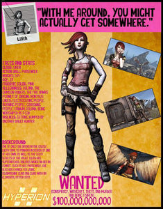 Poster Videojuego Borderlands