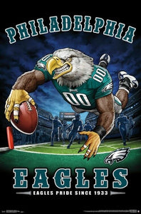 Poster NFL