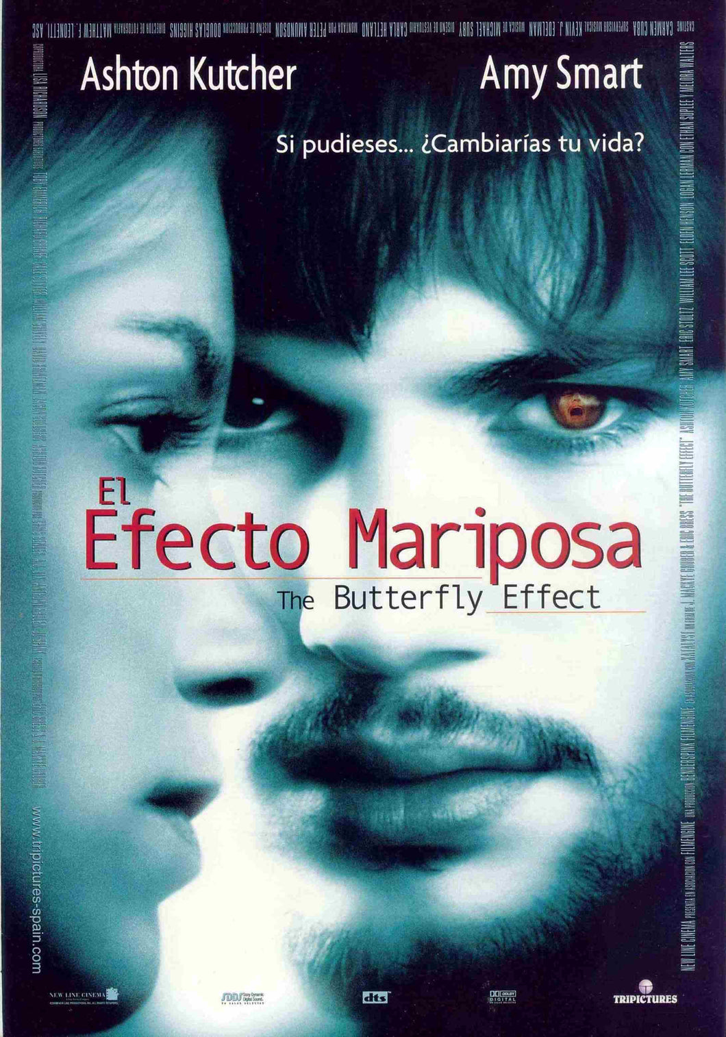 Poster Película Butterfly Effect