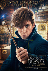 Poster Pelicula Fantastic Beasts and Where to Find Them