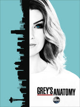 Cargar imagen en el visor de la galería, Poster Serie Grey&#39;s Anatomy