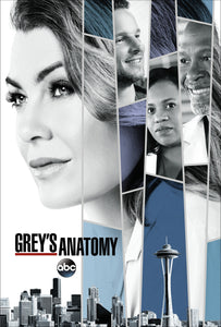 Poster Serie Grey's Anatomy