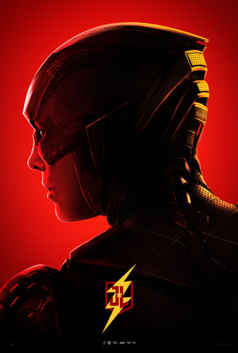 Poster Pelicula Justice League 20