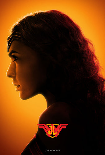 Poster Pelicula Justice League 19
