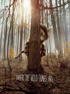 Poster Película Where the Wild Things Are