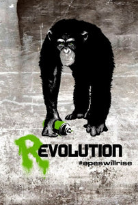 Poster Pelicula Rise of the Planet of the Apes