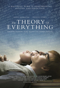 Poster Película The Theory of Everything