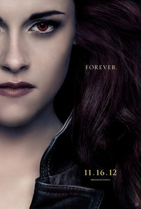 Poster Película The Twilight