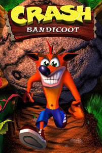 Poster Videojuego Crash Bandicoot
