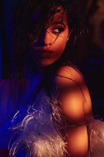 Poster Camilla Cabello 5