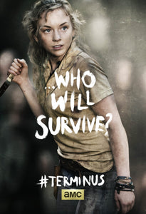 Poster Serie The Walking Dead