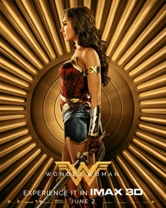 Poster Pelicula Wonder Woman 14