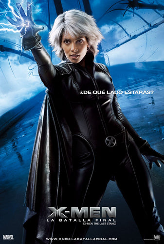 Poster Pelicula X-Men III: The Last Stand 12